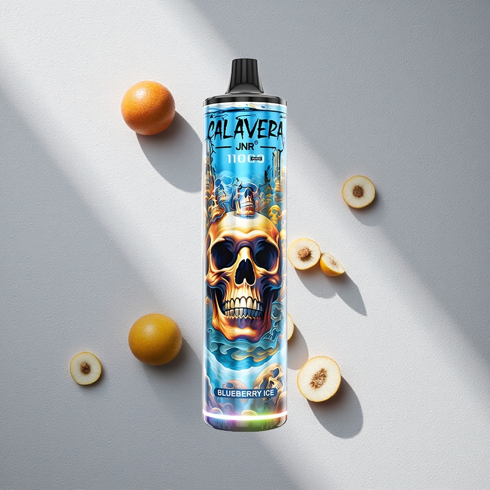 JNR Calavera 11000 Puffs Vape Desechable Arándano Helado con Puerto Tipo-C y 21ml de Líquido - Argentina wholesale