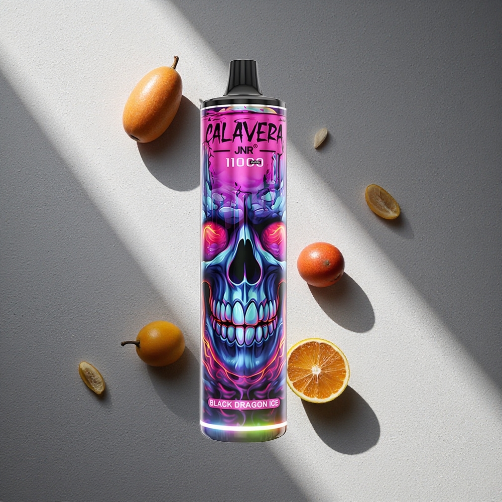 JNR Calavera 11000 Puffs Vape Desechable Dragón Negro Hielo Puerto Tipo-C 21ml Argentina wholesale