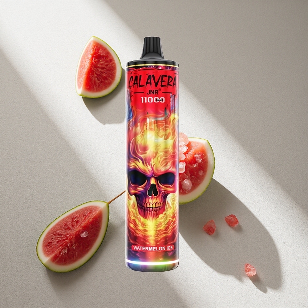 JNR Calavera 11000 Puffs Vape Desechable Sandía Helada 21ml Capacidad de E-Líquido Argentina wholesale