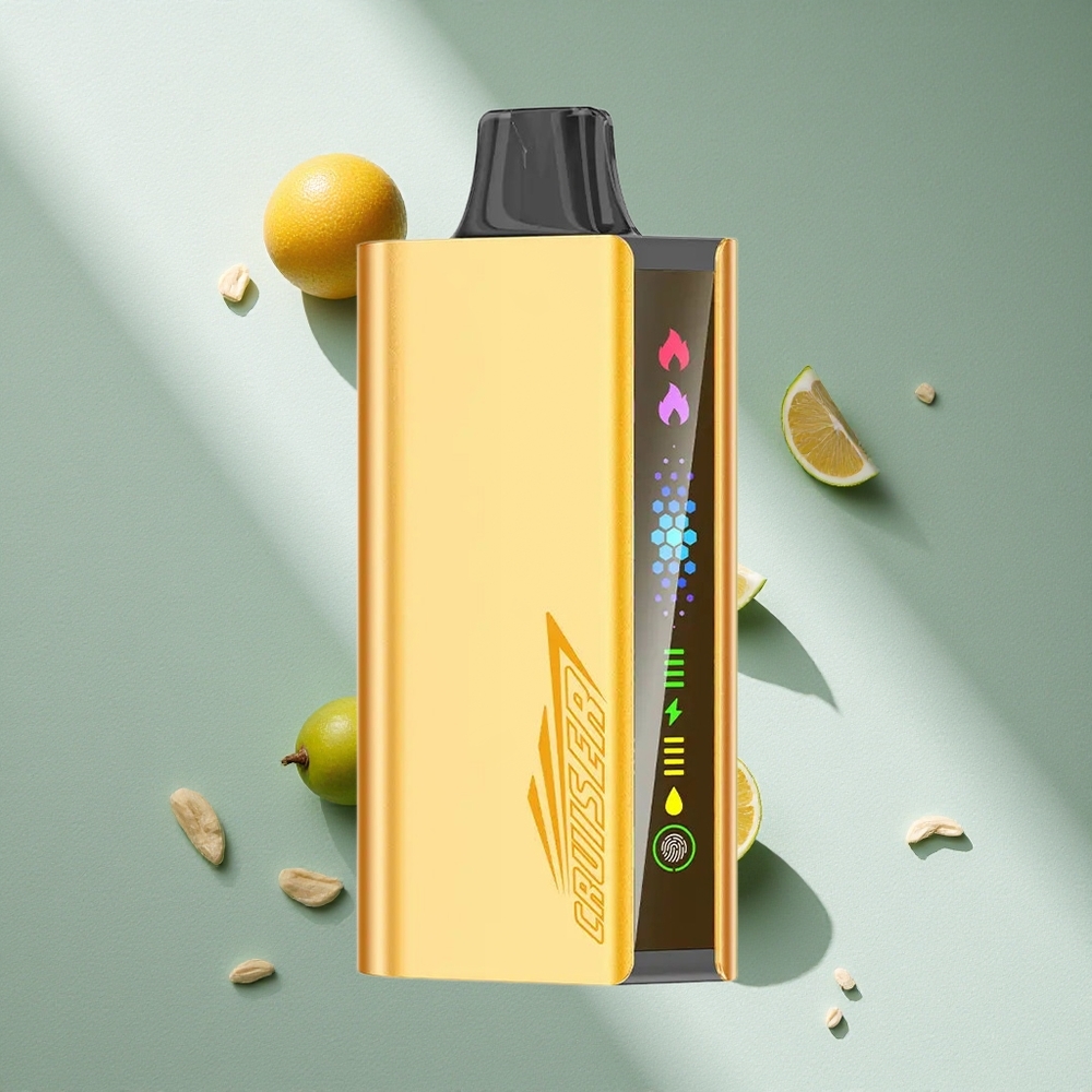 JNR Cruiser 12000 Puffs Menta Refrescante Vape Desechable Sin Carga Pantalla Animada Argentina wholesale