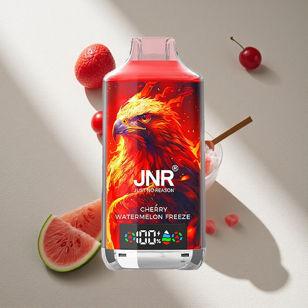 JNR Falcon X 18000 Puffs Cereza Sandía Helada con Pantalla Digital Argentina wholesale