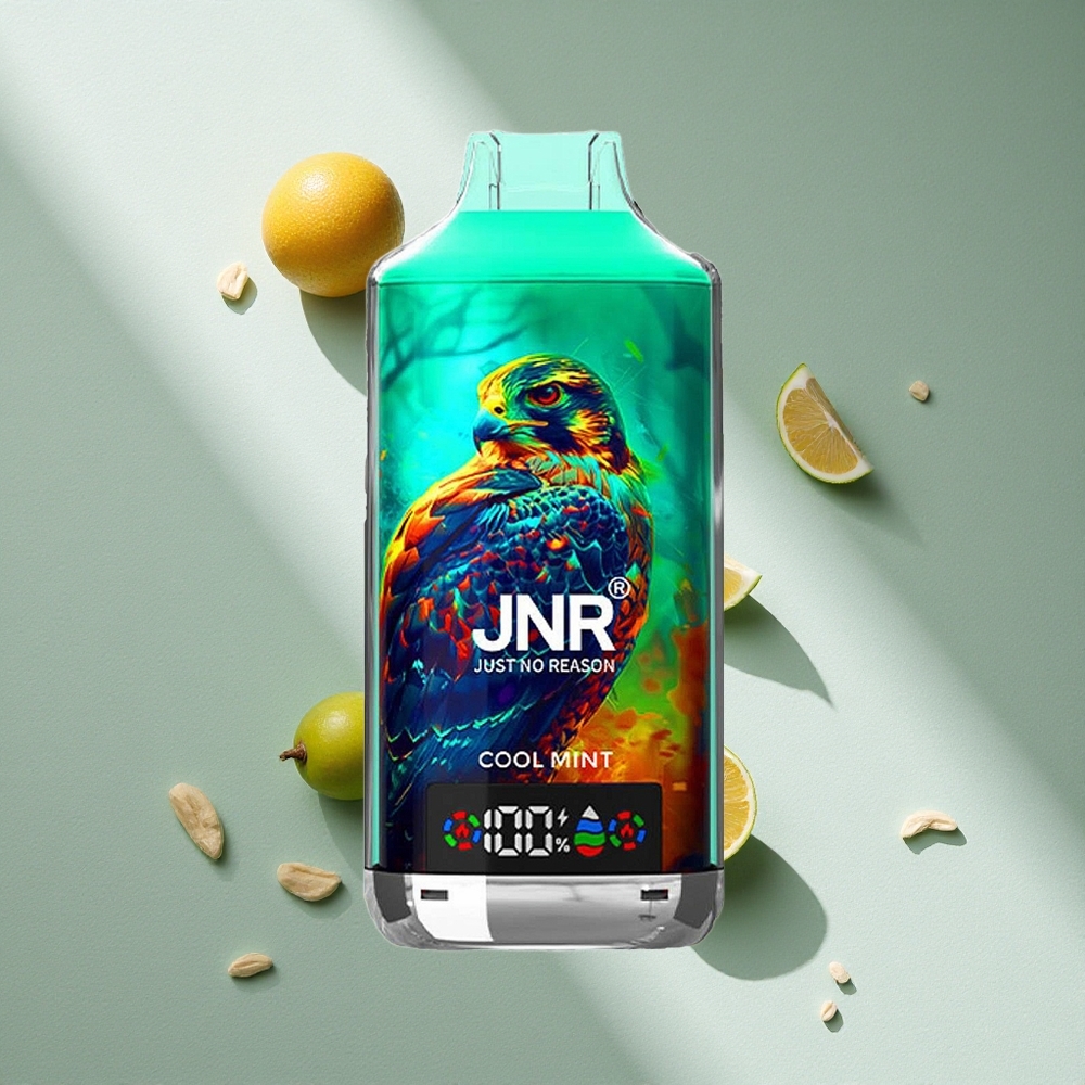 JNR Falcon X 18000 Puffs Sabor Menta Refrescante con Pantalla Digital y Carga Rápida Type-C Argentina wholesale