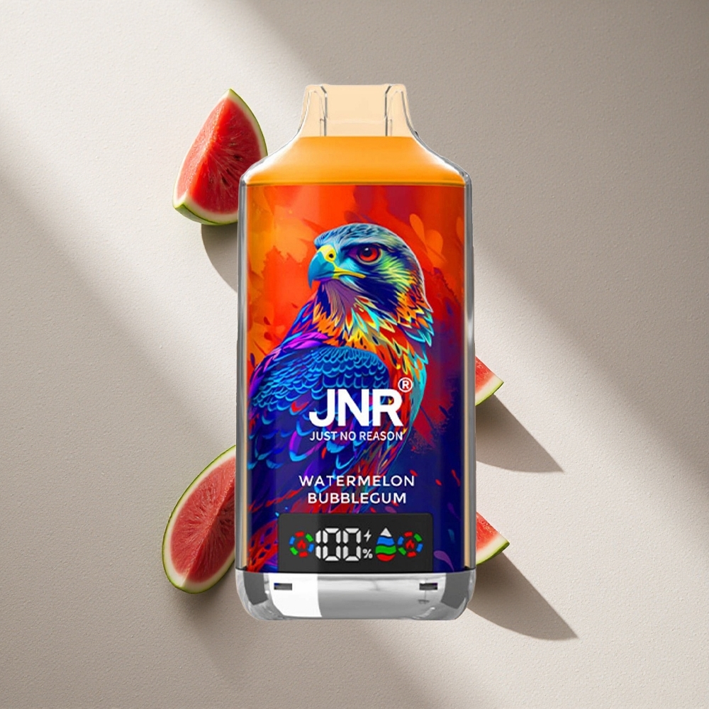 JNR Falcon X 18000 Puffs Vape Chicle Sandía Pantalla Digital Argentina wholesale