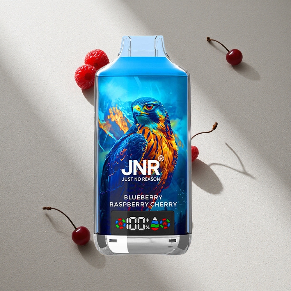 JNR Falcon X 18000 Puffs Vape Desechable Arándano Frambuesa Cereza Pantalla Digital Argentina wholesale