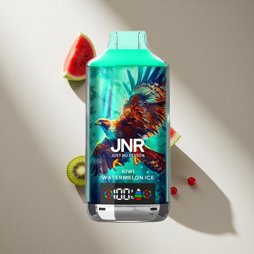 JNR Falcon X 18000 Puffs Vape Kiwi Sandía Helada con 24ml de Líquido y Carga Rápida Type-C Argentina wholesale