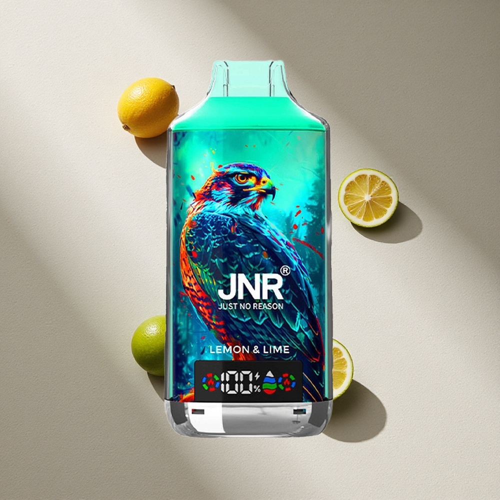 JNR Falcon X 18000 Puffs Vape Limón Lima Batería 750mAh Carga Rápida Type-C Argentina wholesale
