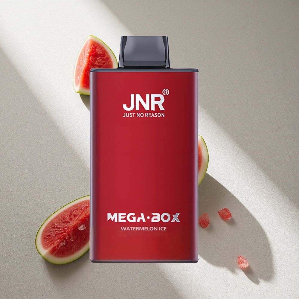 JNR Mega Box 25000 Puffs Desechable Sandía Hielo 30ml Capacidad Argentina wholesale