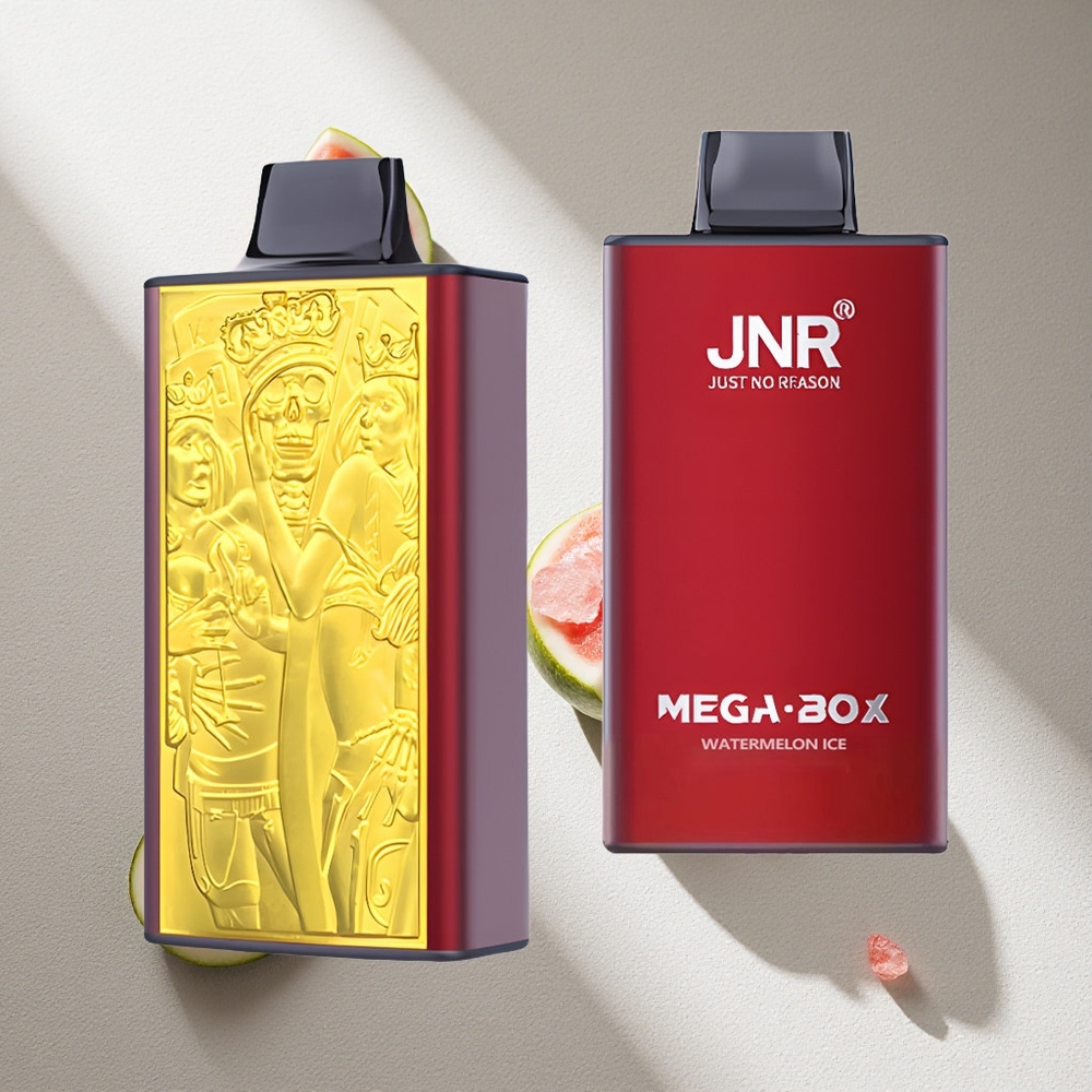 JNR Mega Box 25000 Puffs Desechable Sandía Hielo 30ml Capacidad Argentina wholesale
