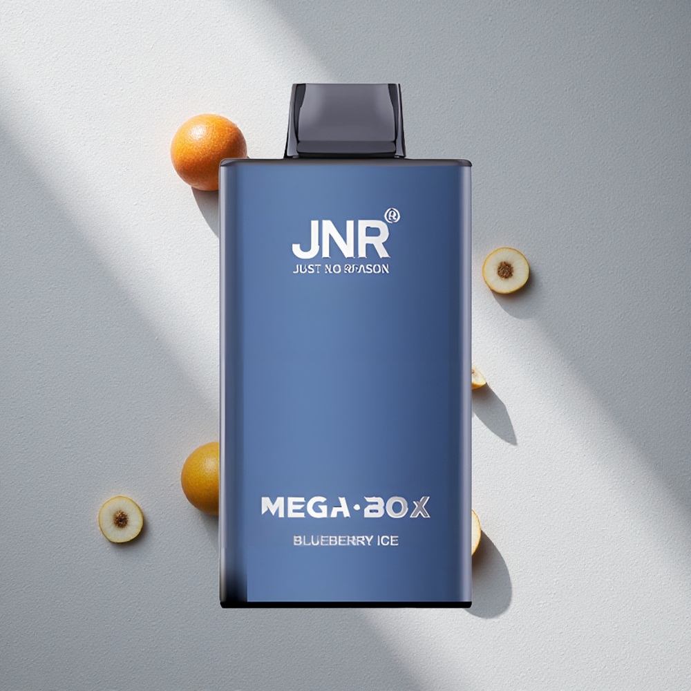 JNR Mega Box 25000 Puffs Desechable Vape Arándano Helado 30ml Capacidad Argentina wholesale