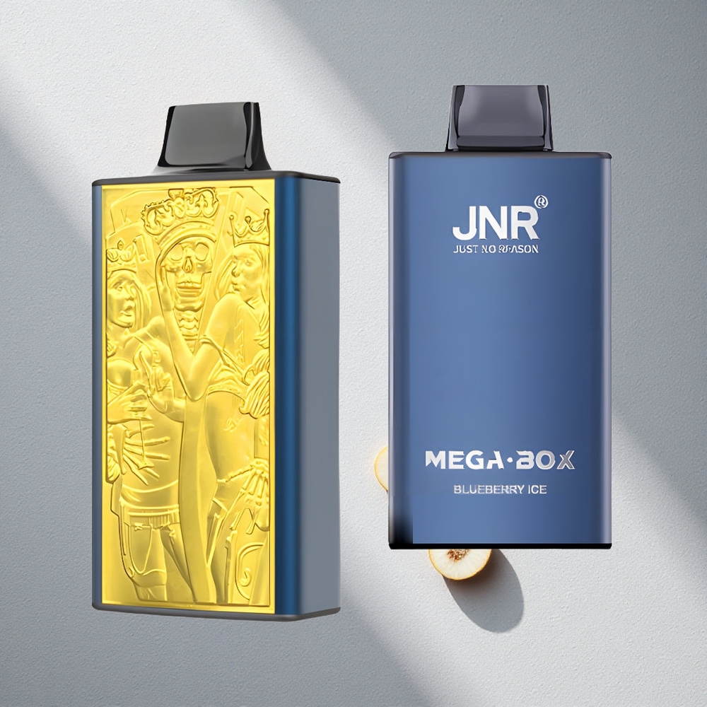 JNR Mega Box 25000 Puffs Desechable Vape Arándano Helado 30ml Capacidad Argentina wholesale