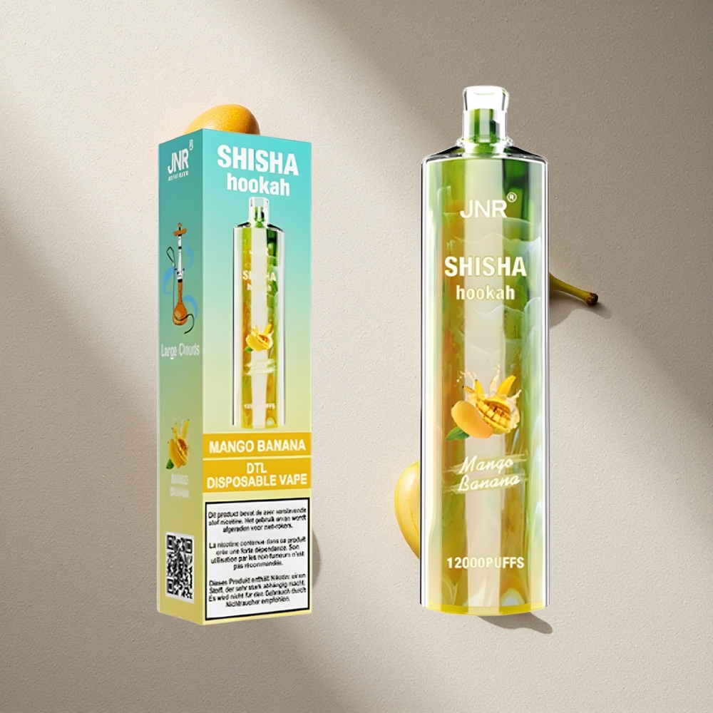 JNR Shisha Hookah 12000 Puffs Mango Banana 24ml E-Líquido Argentina wholesale