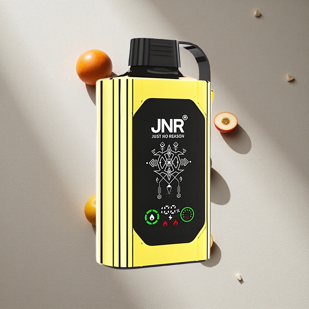 JNR Shisha Hookah Box 20500 Puffs Amor 66 Pantalla HD Dual Malla Argentina wholesale