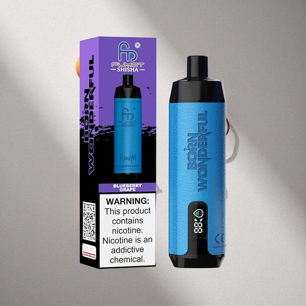 RandM Fumot Shisha 10000 Puffs Arándano Uva 18ml e-líquido Argentina wholesale