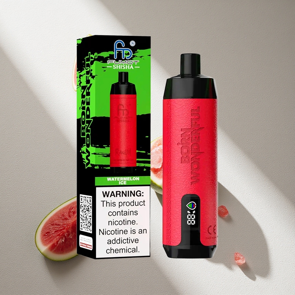 RandM Fumot Shisha 10000 Puffs E-Líquido Prellenado Sandía Helada Argentina wholesale