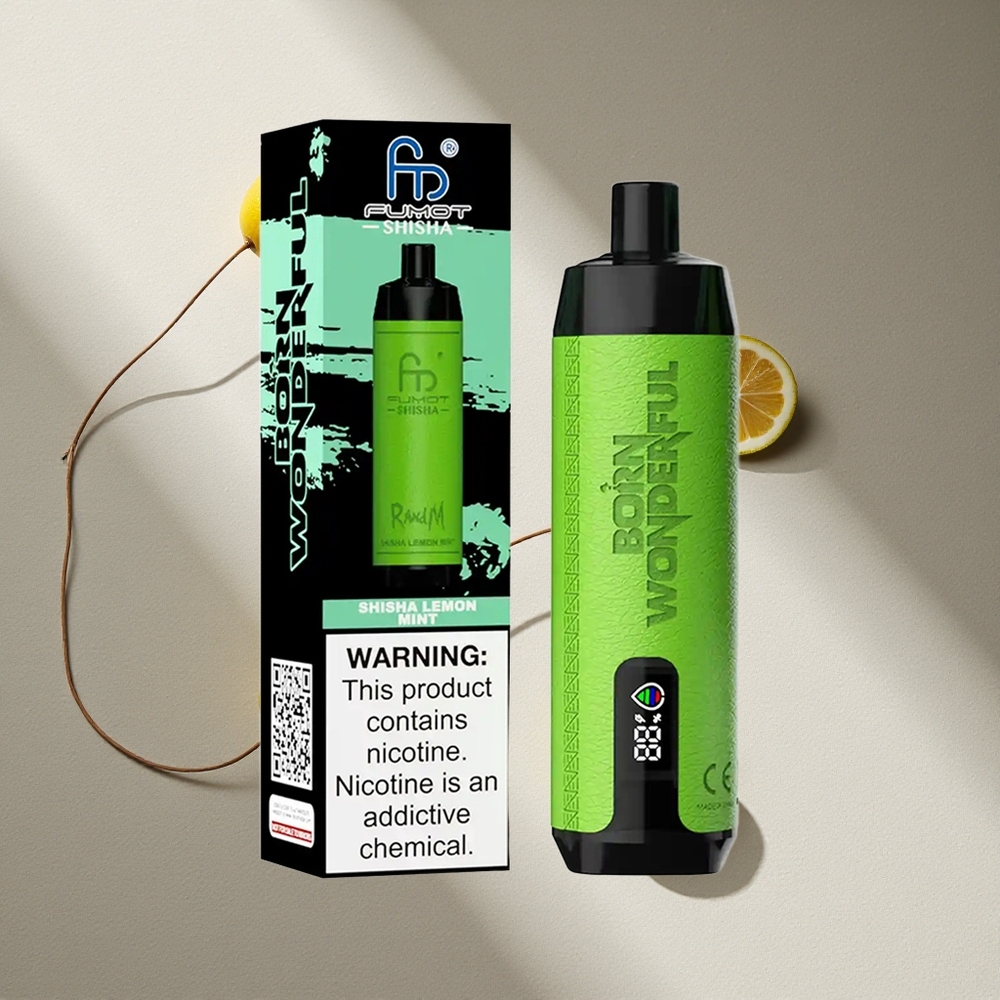 RandM Fumot Shisha 10000 Puffs Vape Desechable Limón Menta 18ml Prellenado Argentina wholesale