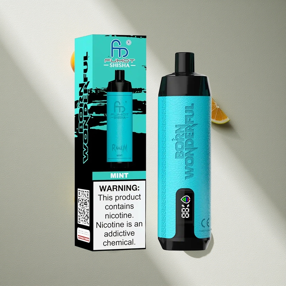 RandM Fumot Shisha 10000 Puffs Vape Desechable Menta 18ml e-líquido Argentina wholesale