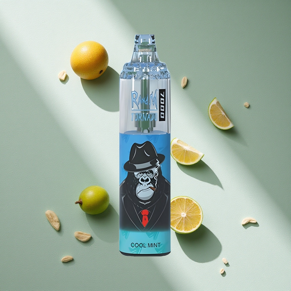 RandM Fumot Tornado 7000 Puffs Menta Refrescante 14ML E-líquido 850MAH Batería Argentina wholesale